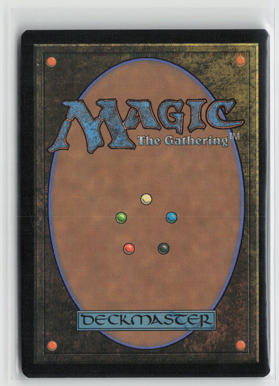 Spider-Rex, Daring Dino