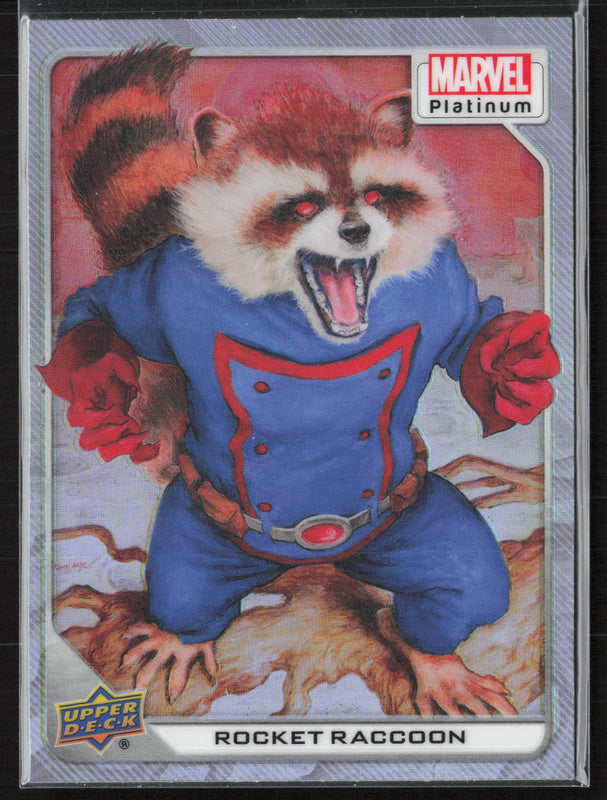 43 Rocket Raccoon Rainbow