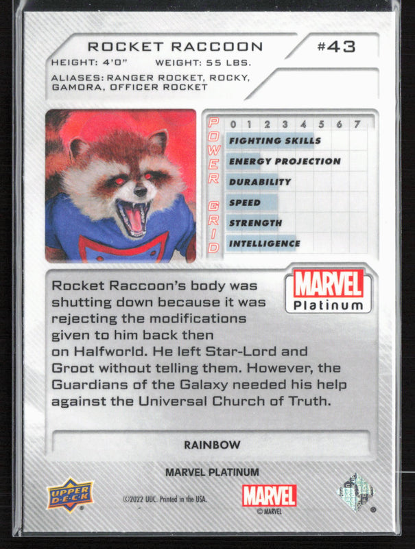 43 Rocket Raccoon Rainbow