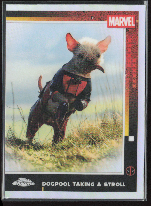73 Dogpool Taking A Stroll - Base - Multiverse And More Refractor