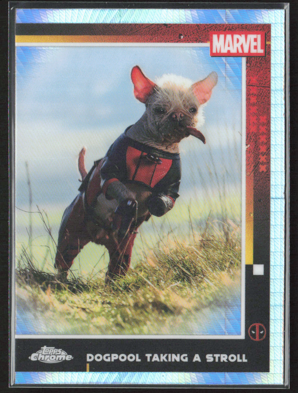 73 Dogpool Taking A Stroll - Base - Multiverse And More Prism Refractor