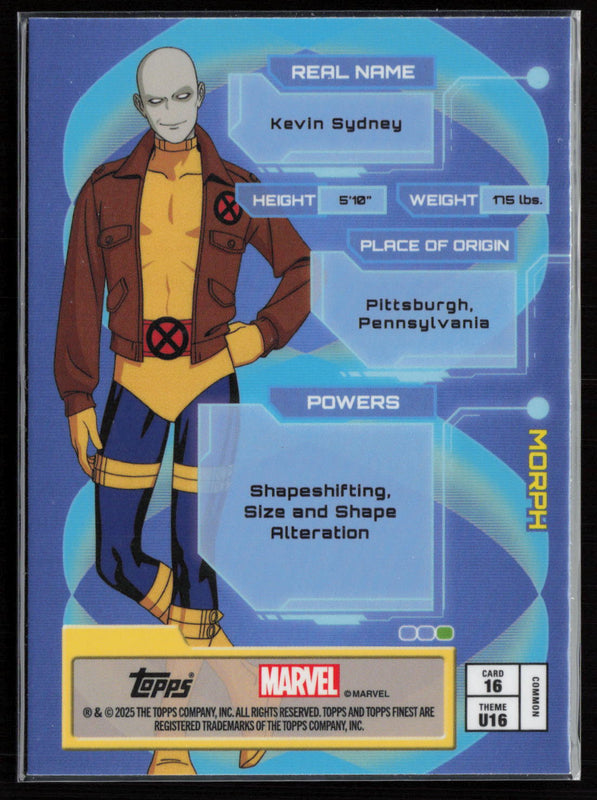 16 Morph Base Bronze