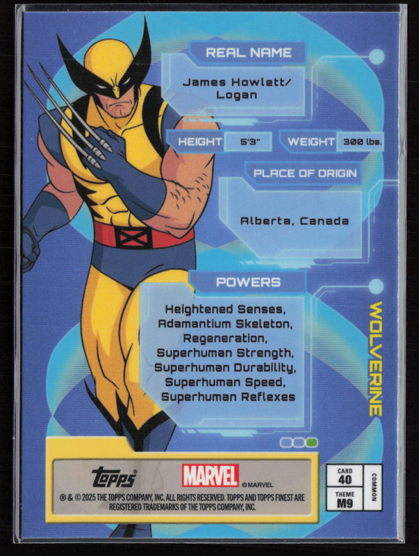 40 Wolverine Base Bronze