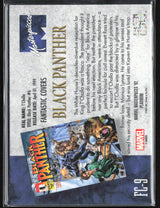 FC-9 Black Panther (1998) #6 Fantastic Covers