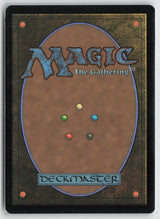 Web of Life and Destiny