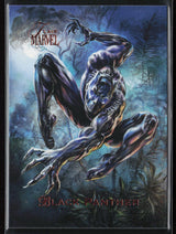 9 Black Panther Base