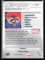 43 Rocket Raccoon Rainbow