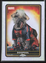 28 Dogpool - Base - Characters Refractor