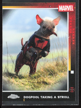 73 Dogpool Taking A Stroll - Base - Multiverse And More