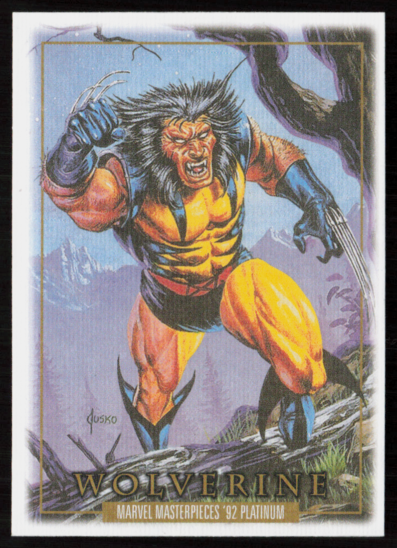 94 Wolverine Canvas