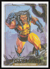 94 Wolverine Canvas